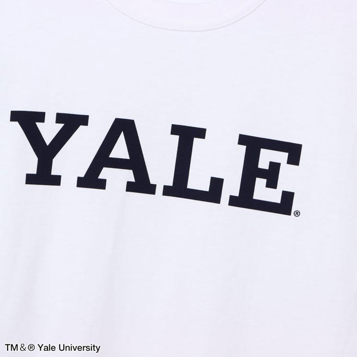 チャンピオン Tシャツ