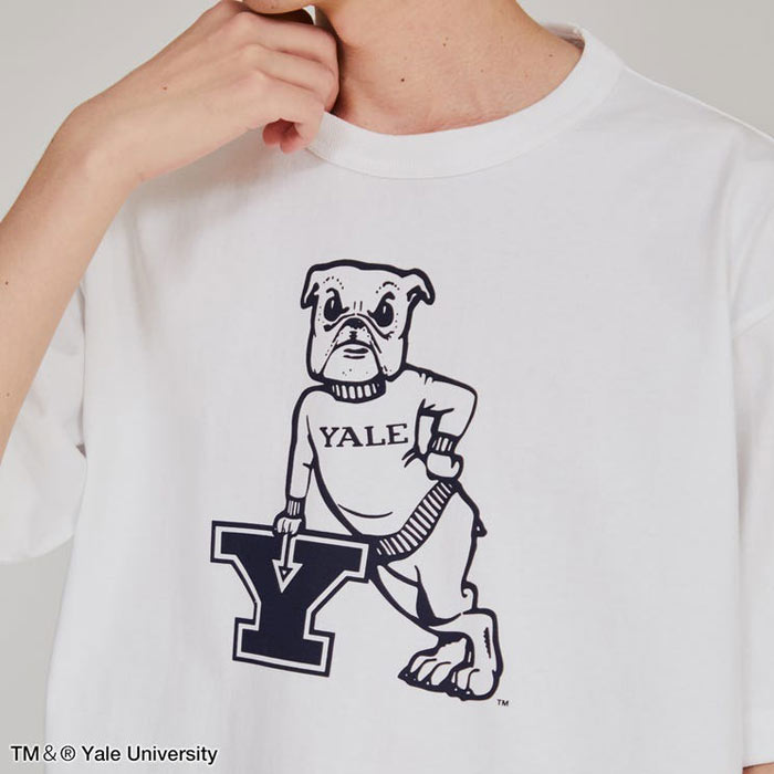 チャンピオン Tシャツ