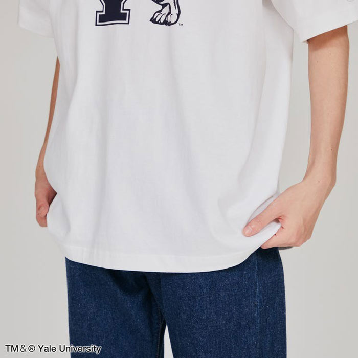チャンピオン Tシャツ