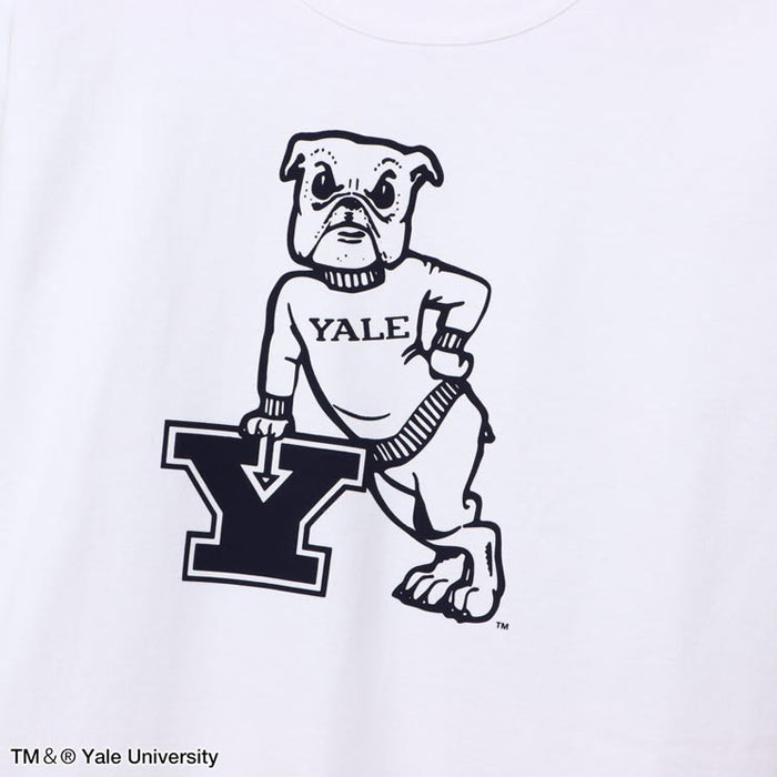 チャンピオン Tシャツ