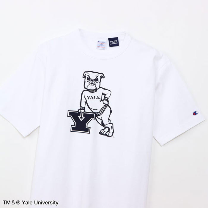 チャンピオン Tシャツ