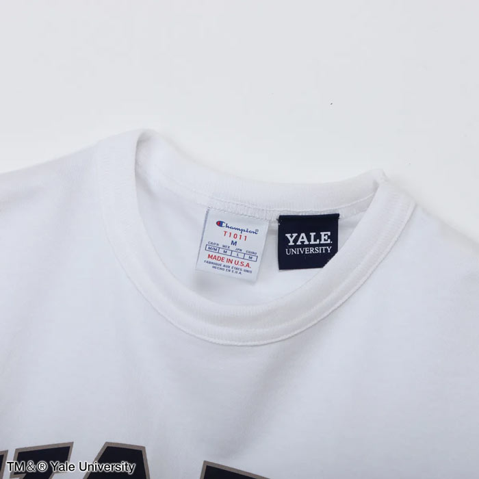 チャンピオン Tシャツ