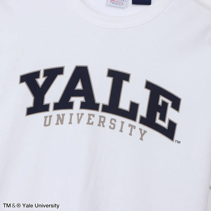 チャンピオン Tシャツ