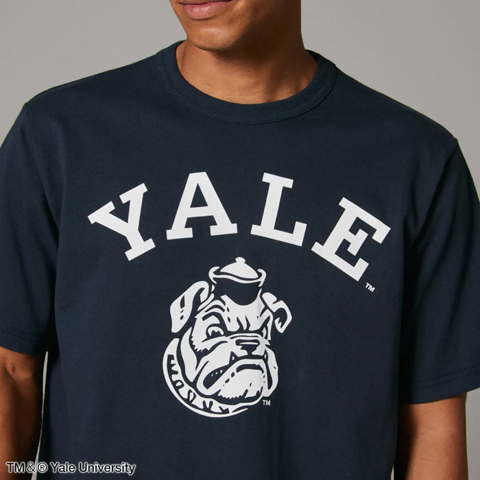 チャンピオン Tシャツ