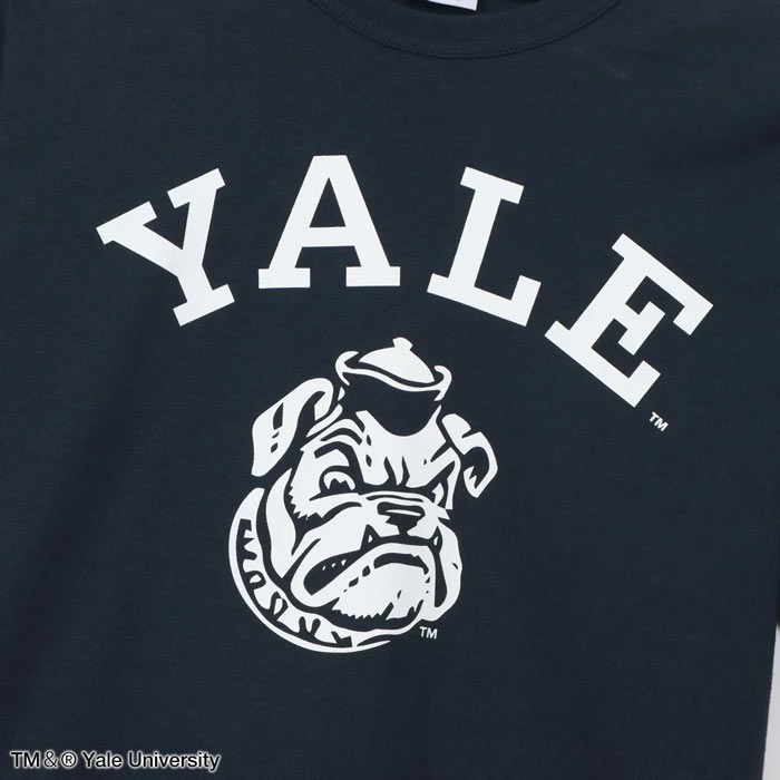 チャンピオン Tシャツ