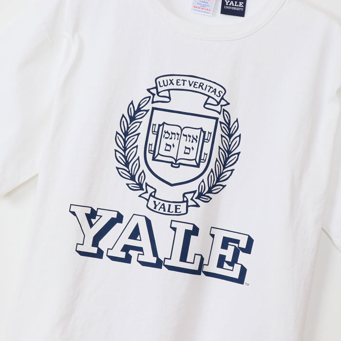 チャンピオン Tシャツ