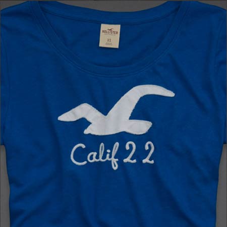 ホリスター新作レディースTシャツ