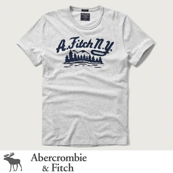 abercrombie&fitch  Tシャツ