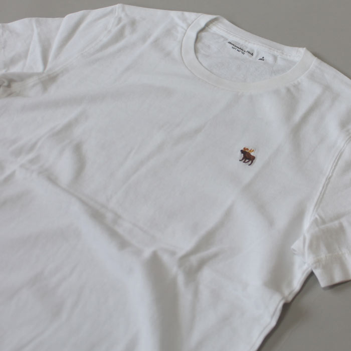 アバクロ新作メンズTシャツ