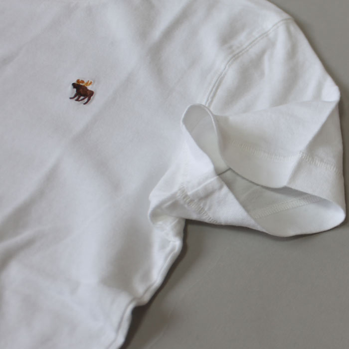 アバクロ新作メンズTシャツ