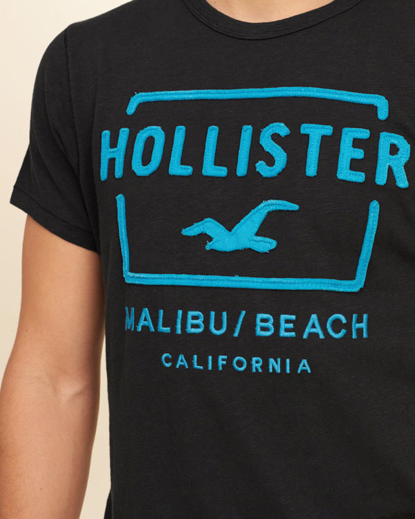 Hollister/ホリスター 新作 Tシャツ