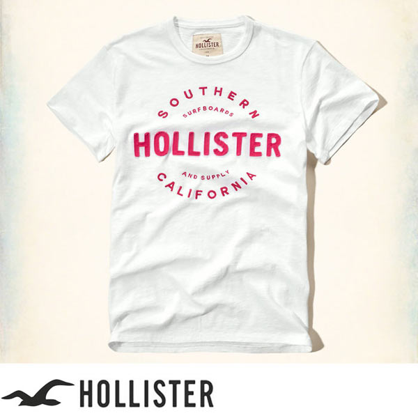 ホリスター Hollister Tシャツ：Applique Logo Graphic Tee White