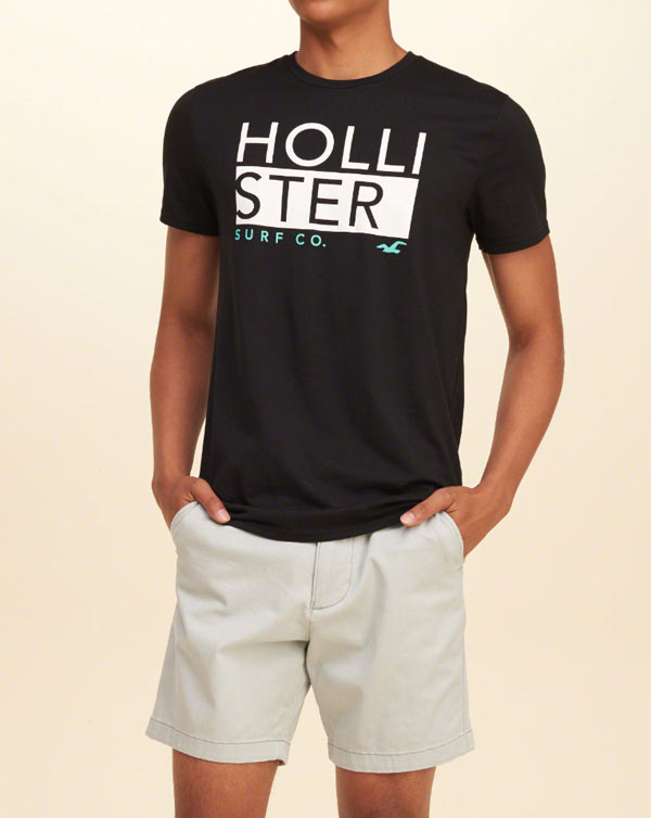 Hollister/ホリスター 新作 Tシャツ