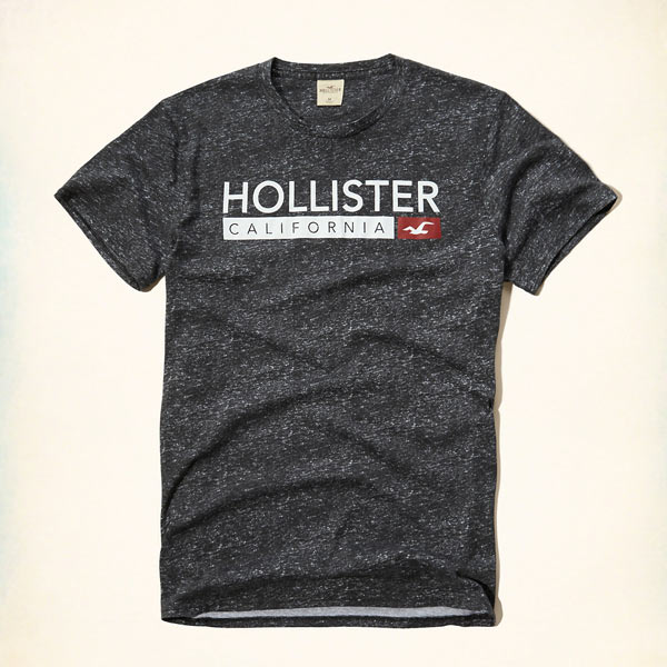 Hollister/ホリスター新作Tシャツ