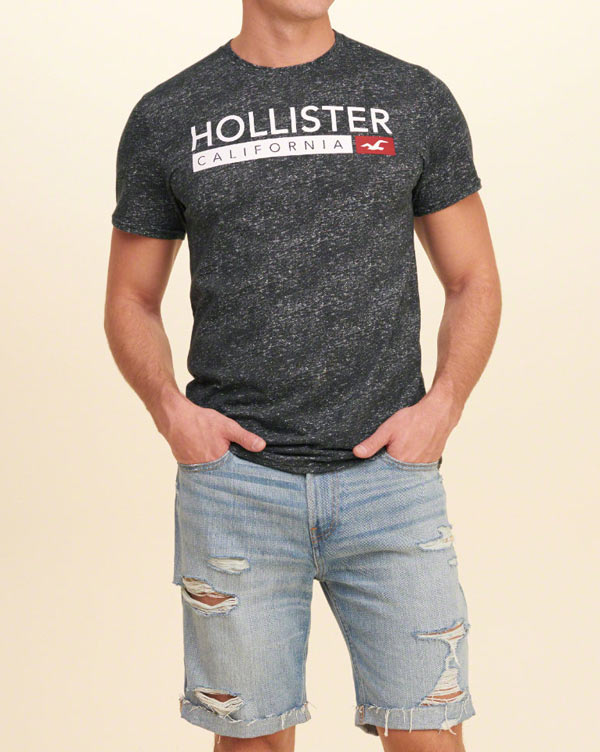 Hollister/ホリスター 新作 Tシャツ