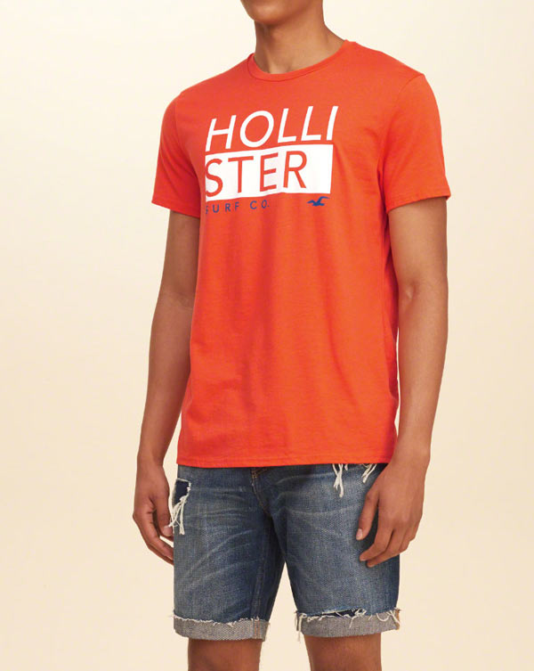 Hollister/ホリスター 新作 Tシャツ